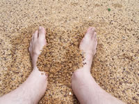 Tivola's Welt - Bildergalerie Indienurlaub 17.09.2007