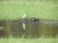 Tivola's Welt - Bildergalerie Indienurlaub 17.09.2007