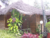 Tivola's Welt - Bildergalerie Indienurlaub 17.09.2007