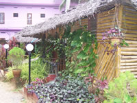 Tivola's Welt - Bildergalerie Indienurlaub 17.09.2007