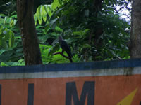 Tivola's Welt - Bildergalerie Indienurlaub 17.09.2007