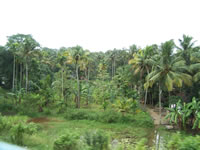 Tivola's Welt - Bildergalerie Indienurlaub 2007