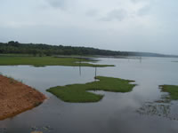 Tivola's Welt - Bildergalerie Indienurlaub 2007