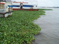 Tivola's Welt - Bildergalerie Indienurlaub 2007