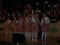 Tivola's Welt - Bildergalerie 2010 Faschingsumzug Neuendorf