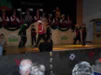 Tivola's Welt - Bildergalerie 2010 Faschingsumzug Neuendorf