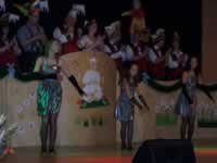 Tivola's Welt - Bildergalerie 2010 Faschingsumzug Neuendorf