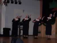 Tivola's Welt - Bildergalerie 2010 Faschingsumzug Neuendorf