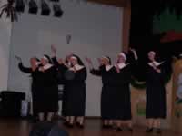 Tivola's Welt - Bildergalerie 2010 Faschingsumzug Neuendorf