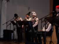 Tivola's Welt - Bildergalerie 2010 Faschingsumzug Neuendorf