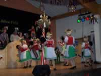 Tivola's Welt - Bildergalerie 2010 Faschingsumzug Neuendorf