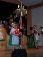 Tivola's Welt - Bildergalerie 2010 Faschingsumzug Neuendorf