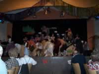 Tivola's Welt - Bildergalerie 2010 Faschingsumzug Neuendorf