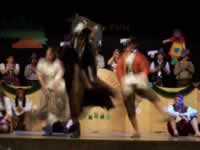 Tivola's Welt - Bildergalerie 2010 Faschingsumzug Neuendorf