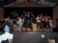 Tivola's Welt - Bildergalerie 2010 Faschingsumzug Neuendorf