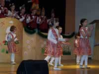 Tivola's Welt - Bildergalerie 2010-02-06 2. Faschingsitzung in der Schönrainhalle