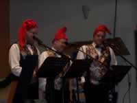 Tivola's Welt - Bildergalerie 2010-02-06 2. Faschingsitzung in der Schönrainhalle