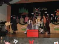 Tivola's Welt - Bildergalerie 2010-02-06 2. Faschingsitzung in der Schönrainhalle