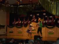 Tivola's Welt - Bildergalerie 2010-02-06 2. Faschingsitzung in der Schönrainhalle