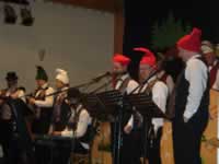 Tivola's Welt - Bildergalerie 2010-02-06 2. Faschingsitzung in der Schönrainhalle