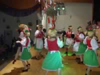 Tivola's Welt - Bildergalerie 2010-02-06 2. Faschingsitzung in der Schönrainhalle