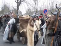 Tivola's Welt - Bildergalerie 2010-02-13 Faschingsumzug in Gemünden - es war bitterkalt zumind. für mich :-)