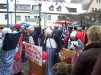 Tivola's Welt - Bildergalerie 2010-02-13 Faschingsumzug in Gemünden - es war bitterkalt zumind. für mich :-)