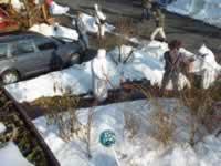 Tivola's Welt - Bildergalerie 2010-02-16 Faschingsumzug in Neuendorf mit anschließend Kehraus in der Halle