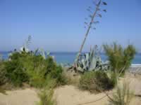 Tivola's Welt - Bildergalerie Sommerurlaub in Spanien vom 04.07 - 12.07.2010