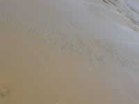 Tivola's Welt - Bildergalerie Sommerurlaub in Spanien vom 04.07 - 12.07.2010