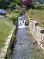 Tivola's Welt - Bildergalerie Wochenendausflug nach Mühlhausen in Thüringen vom 26./27.06.2010