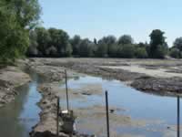 Tivola's Welt - Bildergalerie Wochenendausflug nach Mühlhausen in Thüringen vom 26./27.06.2010