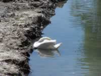 Tivola's Welt - Bildergalerie Wochenendausflug nach Mühlhausen in Thüringen vom 26./27.06.2010