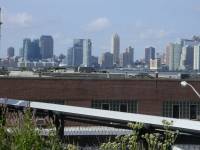 Tivola's Welt - Bildergalerie Stadtrundfahrt New York