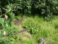 Tivola's Welt - Bildergalerie Stadtrundfahrt New York