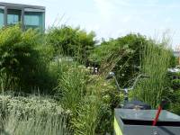 Tivola's Welt - Bildergalerie Stadtrundfahrt New York