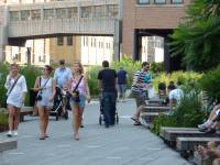 Tivola's Welt - Bildergalerie Stadtrundfahrt New York