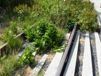 Tivola's Welt - Bildergalerie Stadtrundfahrt New York