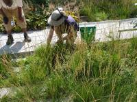 Tivola's Welt - Bildergalerie Stadtrundfahrt New York