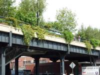 Tivola's Welt - Bildergalerie Stadtrundfahrt New York