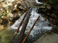 Tivola's Welt - Bildergalerie Fahrt von Boston über die Grenze nach Kanada