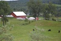 Tivola's Welt - Bildergalerie Fahrt von Boston über die Grenze nach Kanada