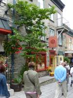 Tivola's Welt - Bildergalerie Besuch von Quebec