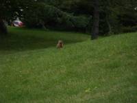 Tivola's Welt - Bildergalerie Besuch Montreal