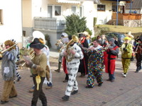 Tivola's Welt - Bildergalerie 2012-02-21 Faschingsumzug in Neuendorf mit anschließendem Kehraus in der Schönrainhalle