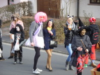 Tivola's Welt - Bildergalerie 2012-02-21 Faschingsumzug in Neuendorf mit anschließendem Kehraus in der Schönrainhalle