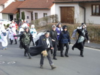 Tivola's Welt - Bildergalerie 2012-02-21 Faschingsumzug in Neuendorf mit anschließendem Kehraus in der Schönrainhalle