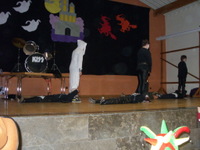 Tivola's Welt - Bildergalerie 2012-02-21 Faschingsumzug in Neuendorf mit anschließendem Kehraus in der Schönrainhalle