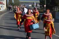 Tivola's Welt - Bildergalerie 2015-02-15: Faschingsumzug LA