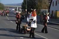 Tivola's Welt - Bildergalerie 2015-02-15: Faschingsumzug LA